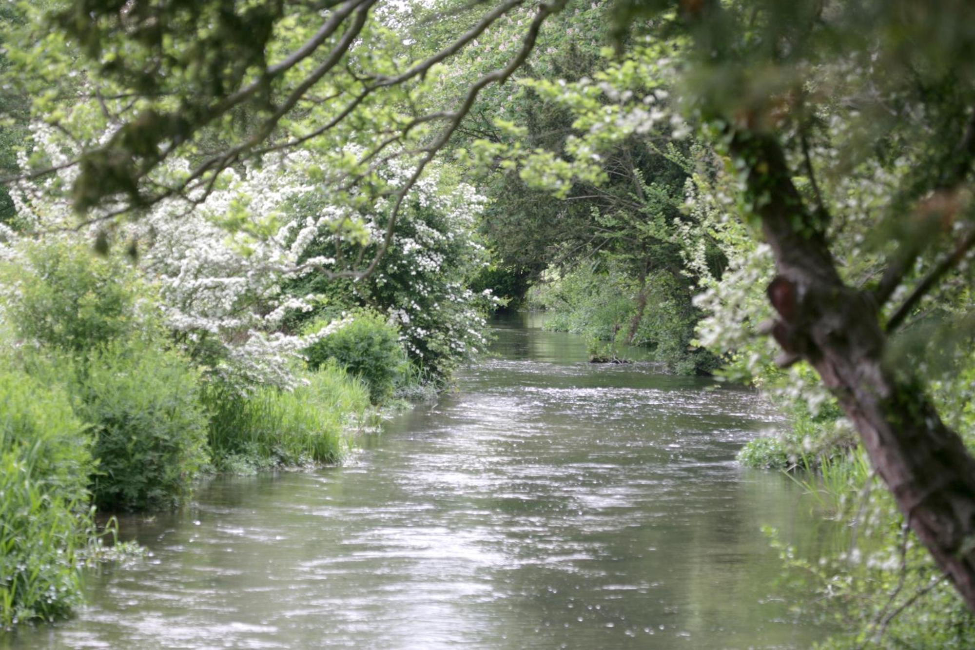 Donnington Grove Pension Newbury  Buitenkant foto