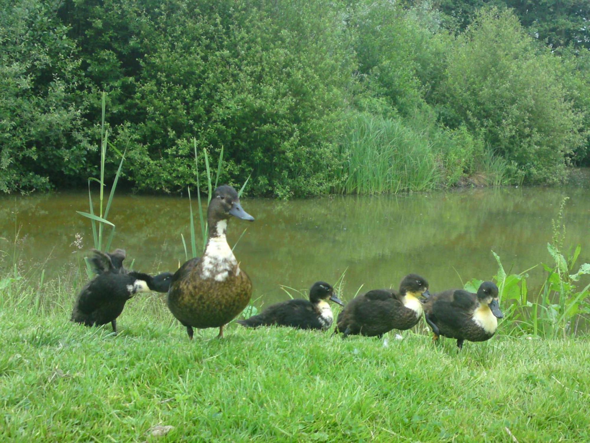 Donnington Grove Pension Newbury  Buitenkant foto