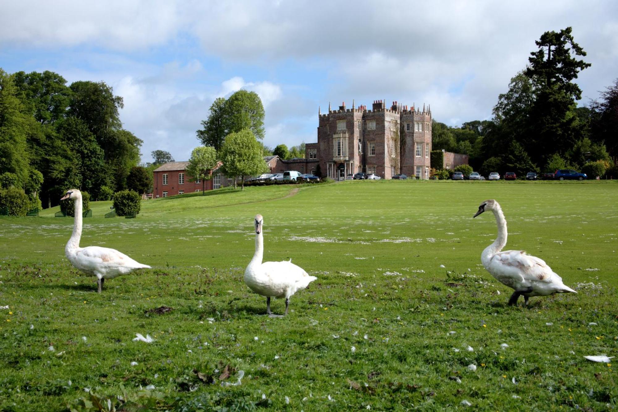 Donnington Grove Pension Newbury  Buitenkant foto